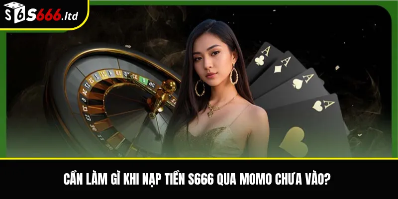 Cần làm gì khi nạp tiền S666 qua Momo chưa vào?
