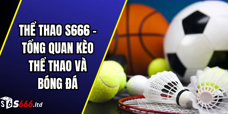 Thể Thao S666 – Tổng Quan Kèo Thể Thao Và Bóng Đá